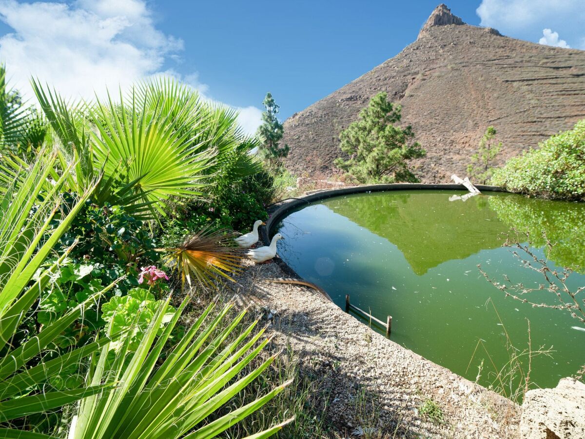 Ferienhaus Arona auf Teneriffa Umgebung 35