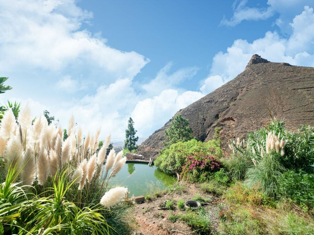 Ferienhaus Arona auf Teneriffa Umgebung 36