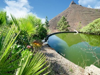 Ferienhaus Arona auf Teneriffa Umgebung 35