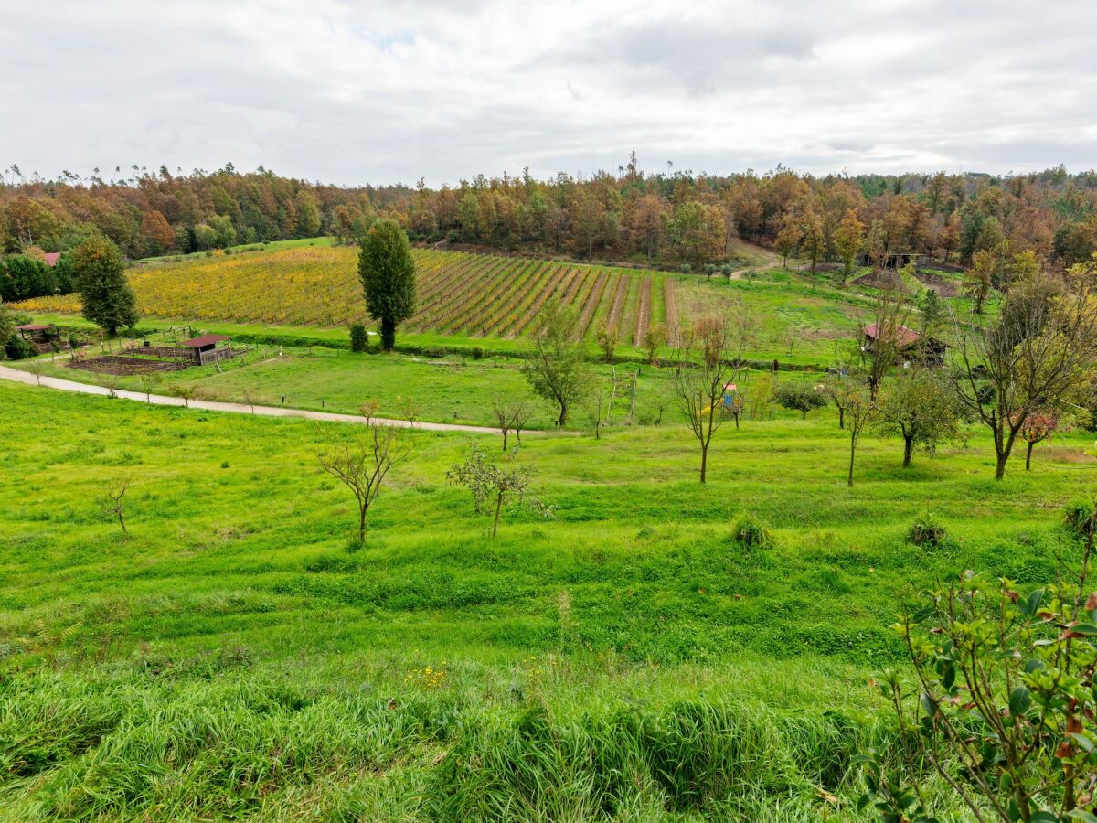 Bauernhof Fucecchio Außenaufnahme 9