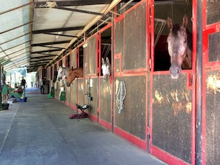 Bauernhof Fucecchio  34