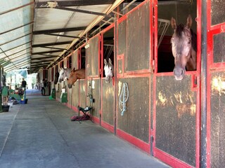 Casa de campo Fucecchio  34