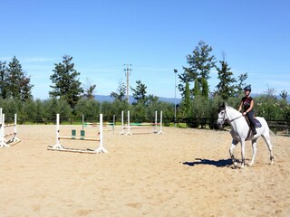 Type de propriété : Ferme Fucecchio  36