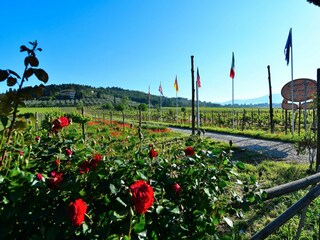 Ferienhaus San Donato in Collina Außenaufnahme 8
