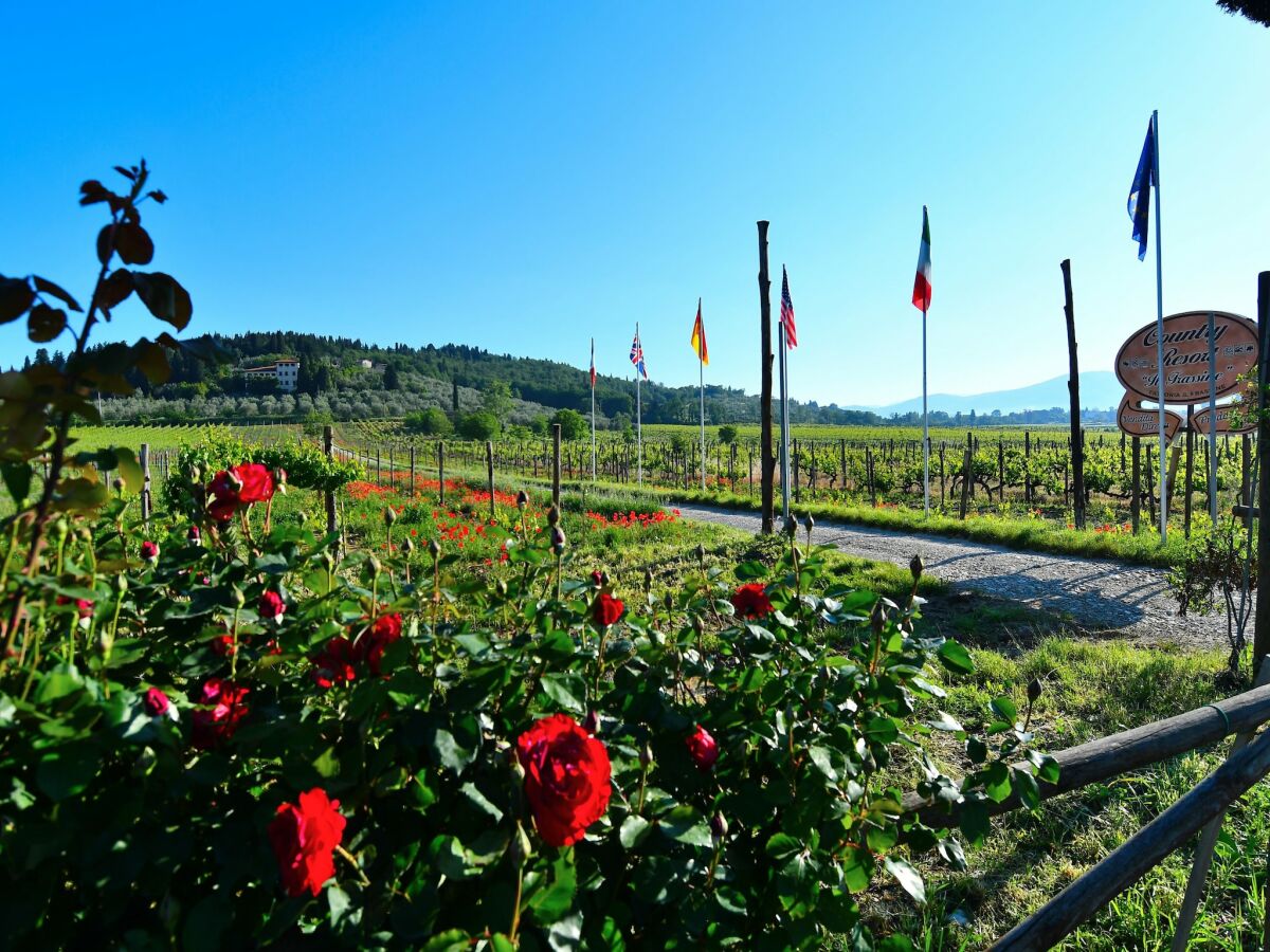 Ferienhaus San Donato in Collina Außenaufnahme 2