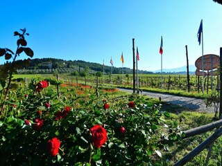 Vakantiehuis San Donato in Collina Buitenaudio-opname 7