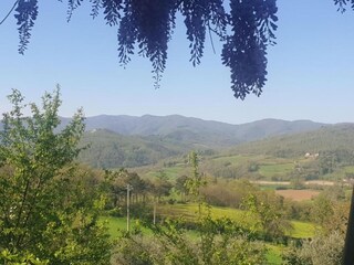 Maison de vacances San Donato in Collina Environnement 32