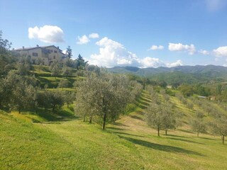 Ferienhaus San Donato in Collina Umgebung 36