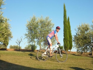 Ferienhaus San Donato in Collina Umgebung 35