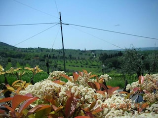 Ferienhaus San Donato in Collina Umgebung 39