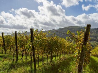 Ferienhaus San Donato in Collina Umgebung 37