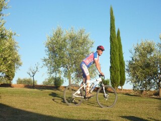 Holiday house San Donato in Collina Environment 38