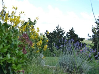 Maison de vacances San Donato in Collina Environnement 40