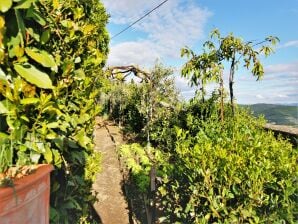 Villa in Cortona mit privatem Pool und Whirlwanne - Cortona - image1