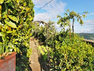 Villa Cortona Grabación al aire libre 1