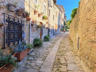 Villa Cortona Entorno 29