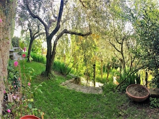 Villa Cortona Außenaufnahme 5