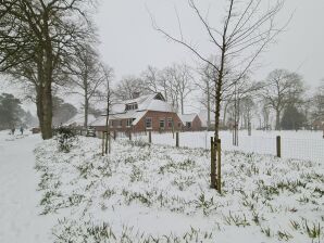 Holiday house Charmantes Ferienhaus in Nijverdal mit Whirlpool - Hellendoorn - image1