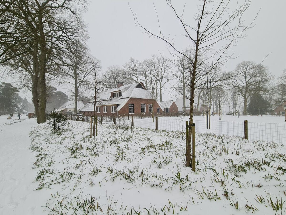 Ferienhaus Hellendoorn Außenaufnahme 1