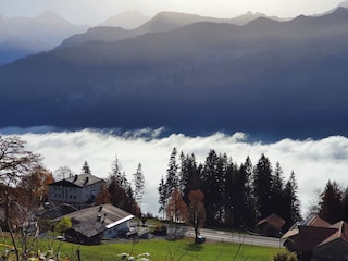 Ferienwohnung Beatenberg Umgebung 21