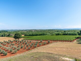Villa Vižinada Ambiente 36