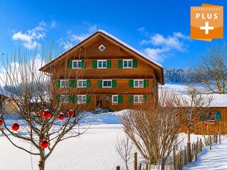 Haus im Winter