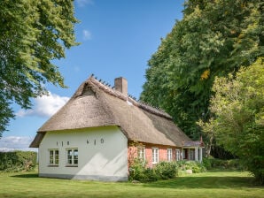 Ferienwohnung Hasenhaus - Quern - image1