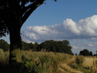 Vakantieappartement Röbel Müritz  36