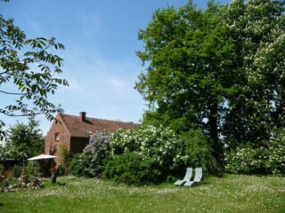 Große Liegewiese vor dem Ferienhaus.