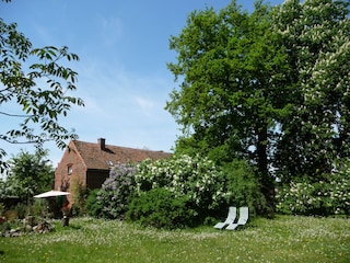 Vakantieappartement Röbel Müritz Omgeving 8