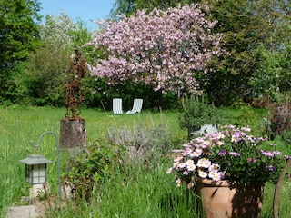 Vakantieappartement Röbel Müritz Omgeving 11
