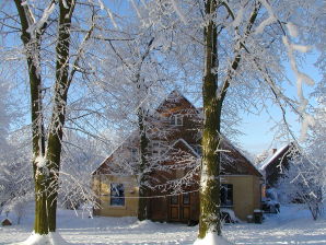 Appartement de vacances Helena -Ancienne Briqueterie- - Röbel Müritz - image1