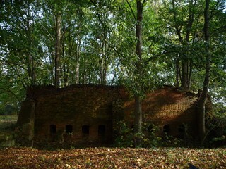 Brennofenruine 1856 im Herbst