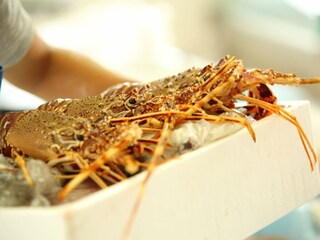 Villa Port Andratx Ambiente 37