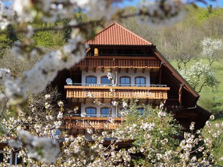 Apartamento de vacaciones Bad Peterstal-Griesbach Grabación al aire libre 2