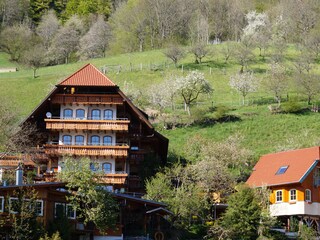 Apartamento de vacaciones Bad Peterstal-Griesbach Grabación al aire libre 4