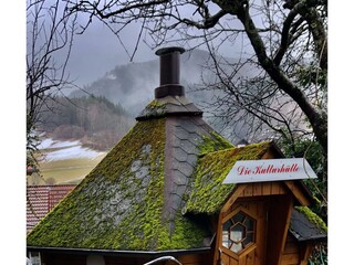 Apartamento de vacaciones Bad Peterstal-Griesbach Grabación al aire libre 6