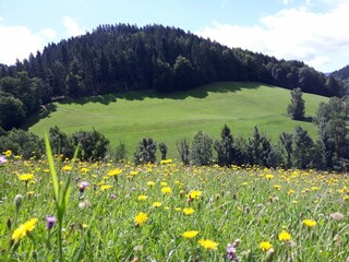 Apartamento de vacaciones Bad Peterstal-Griesbach Grabación al aire libre 13