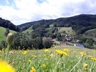 Apartamento de vacaciones Bad Peterstal-Griesbach Entorno 30