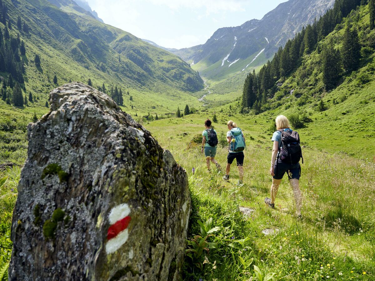 Sommer im Klostertal (c) Alex Kaiser - Alpenregion