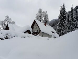 Charmante maison de vacances à Untertauern avec sauna - Basse-Tauern - image1