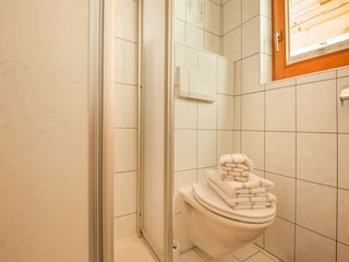 Apartment Ramsau im Zillertal Features 25