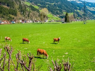 Apartamento Ramsau im Zillertal Grabación al aire libre 15
