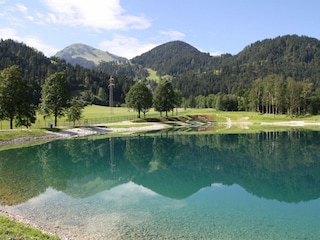 Apartamento Scheffau Entorno 24