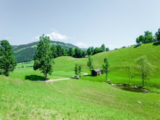 Apartment Westendorf Umgebung 26