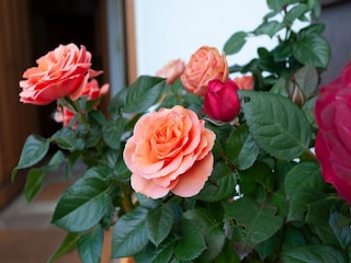 Apartment St. Johann in Tirol  36