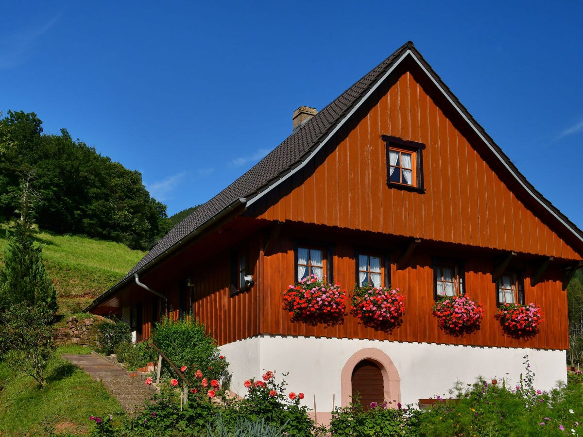 Schwarzwald single urlaub