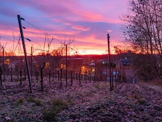 Casa per le vacanze Bad Kösen Ambiente 26