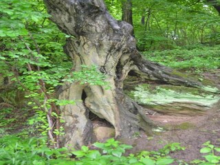 Casa per le vacanze Bad Kösen Ambiente 22