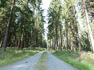 Appartement Morgenröthe-Rautenkranz Environnement 36